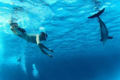 Swim with Dolphins Semi Private Speedboat Sea Tour - Hurghada - Snorkeling sessions: Dolphin House then a second reef stop