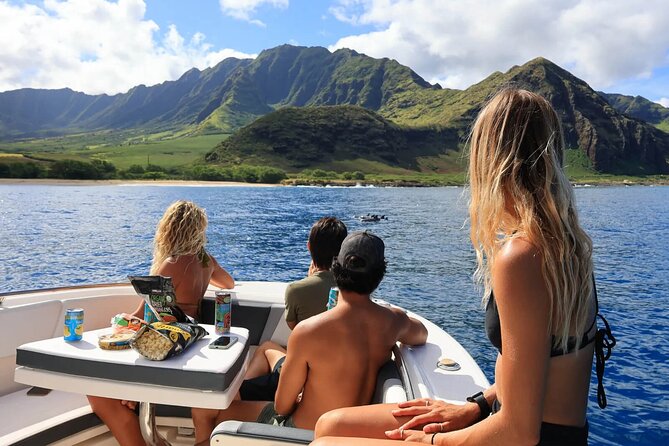 Swim With Dolphins & Turtles in West Oahu (Semi-Private Tours) - Dolphins, turtles, and the bonus sightings that can steal the show