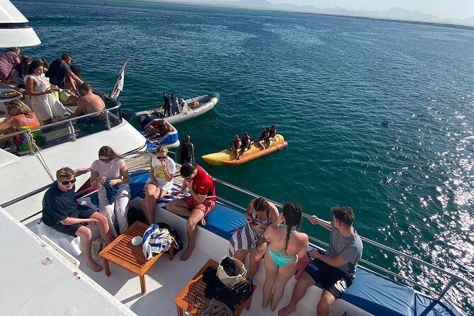 Swim with Dolphins VIP snorkeling Boat Trip with lunch - Hurghada - What makes this good value at $15—and what could cost more