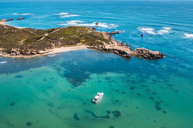 Swim with Wild Dolphins Day Tour - Price and value: is $214.46 worth it?