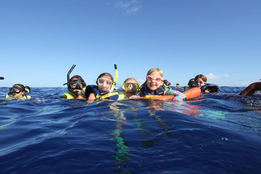 Swim with Wild Dolphins Oahu Speedboat Snorkeling Adventure! - The whale season bonus (Dec–Mar) and how to think about it