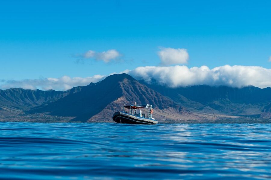 Swim with Wild Dolphins Oahu Speedboat Snorkeling Adventure! - Lunch onboard and what you can bring for the day