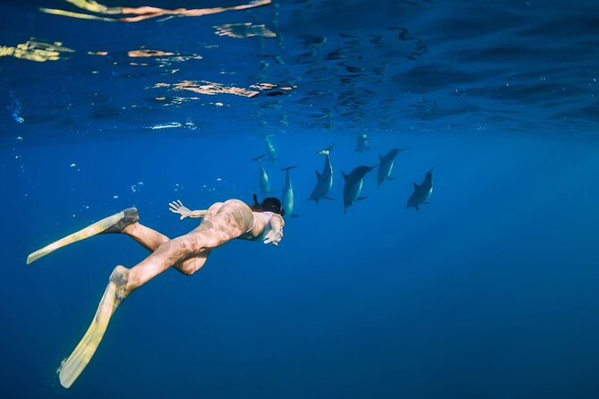 Swimming With Dolphin in Red Sea Adventure with Lunch - Hurgada - Sea conditions, motion sickness, and who should take this on