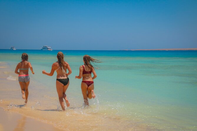 Swimming with Dolphins by Private Speed Boat - Hurghada - Coral reef time: two snorkeling stops that keep the day interesting