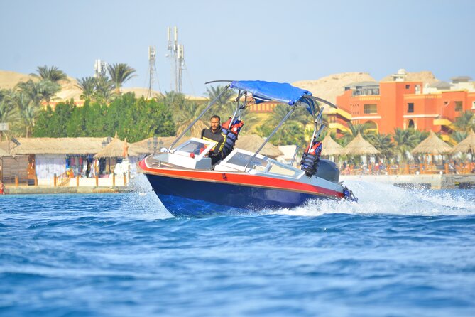 Swimming with Dolphins by Private Speed Boat - Hurghada - Price and extras: is $65 a good deal here?