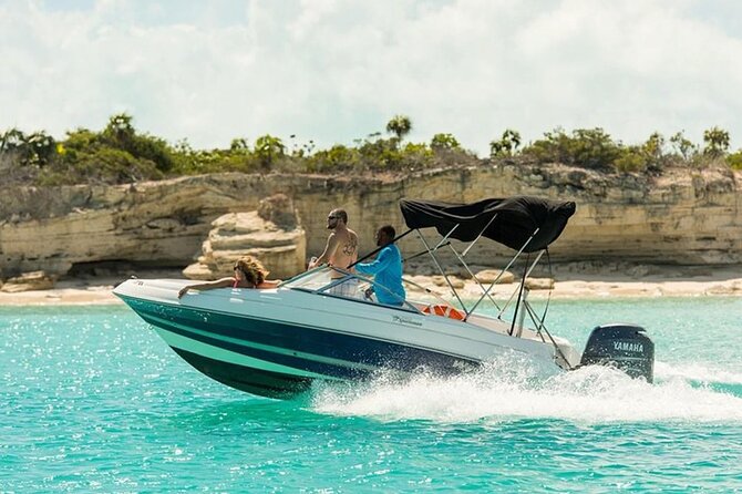 Swimming with Dolphins by Private Speed Boat - Hurghada - Who should book this Dolphin House speed-boat trip