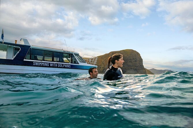 Swimming with Wild Dolphins in Akaroa - Key highlights you’ll care about