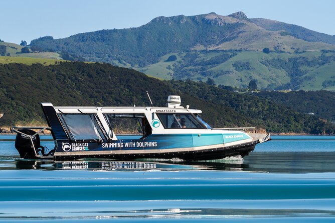 Swimming with Wild Dolphins in Akaroa - Hot Showers, Cookies, and De-briefing: The Part People Forget