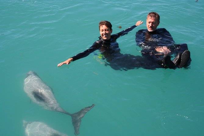 Swimming with Wild Dolphins in Akaroa - The Crew: Spotting Dolphins, Managing the Mood