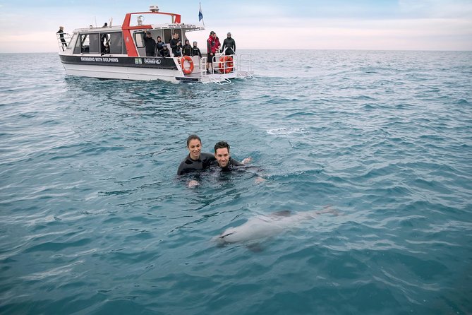 Swimming with Wild Dolphins in Akaroa - The 3.5-Hour Flow on the Water: Small Boat, Big Focus