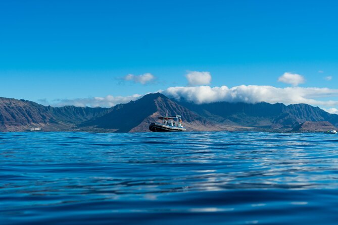 Swimming with Wild Dolphins Speedboat Adventure on Oahu - Why a Zodiac dolphin swim off Oahu feels more “you’re there”