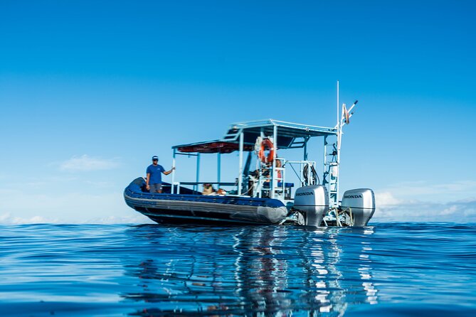 Swimming with Wild Dolphins Speedboat Adventure on Oahu - Morning logistics: pickup times and the Waiʻanae start