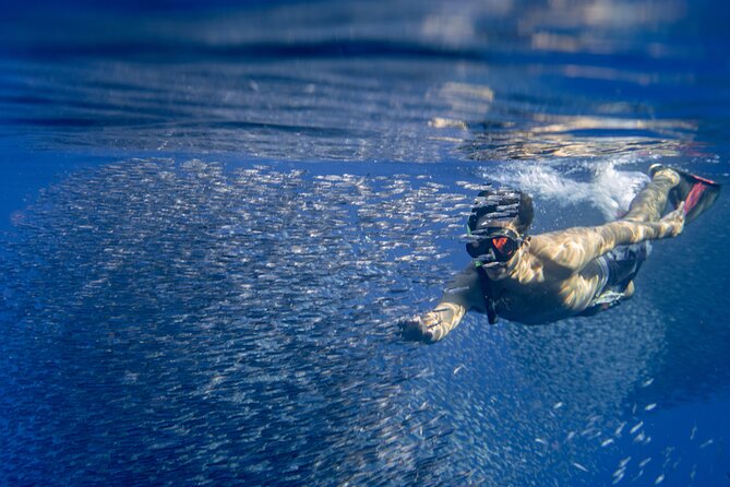 Swimming with Wild Dolphins Speedboat Adventure on Oahu - Stop 1 in Waianae: Zodiac offshore and real dolphin swim time