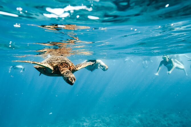 Swimming with Wild Dolphins Speedboat Adventure on Oahu - Stop 2 in Makaha: lunch breaks are part of the rhythm