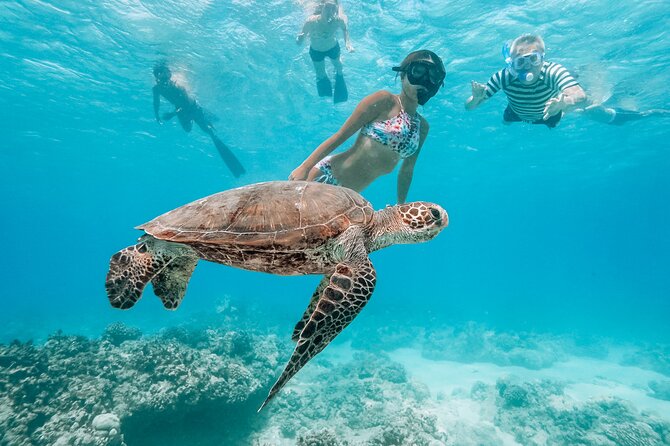 Swimming with Wild Dolphins Speedboat Adventure on Oahu - Price and what you actually get for $199