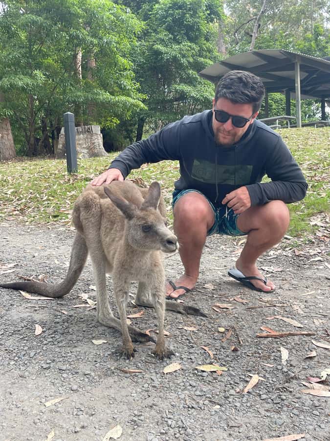 Sydney: Jervis Bay Day Trip with Dolphins, Roos & Beach Time - Huskisson Reset: Lunch Break, Shopping, and Getting Your Bearings
