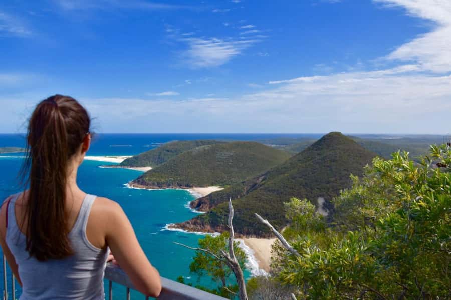 Sydney: Port Stephens Day Trip with Dolphin Cruise or Hike - A 12-hour hit of Port Stephens: what the day really feels like