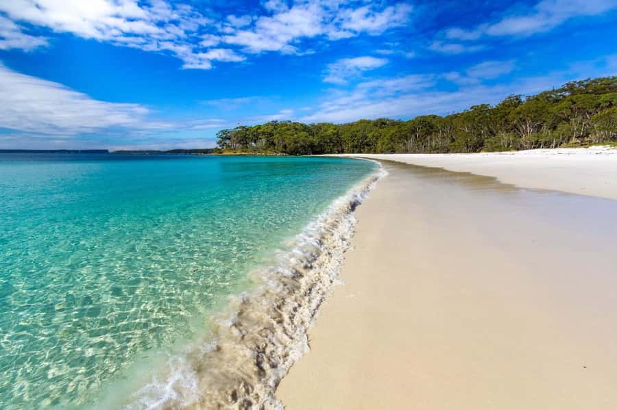 Sydney: Port Stephens Day Trip with Dolphin Cruise or Hike - Anna Bay sand dunes: 4WD sand safari and sandboarding fun