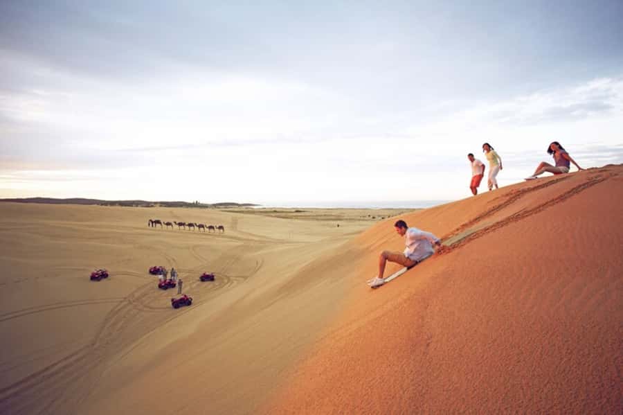 Sydney: Port Stephens Dolphin Cruise & Sandboarding Day Trip - Key moments that make this day trip work