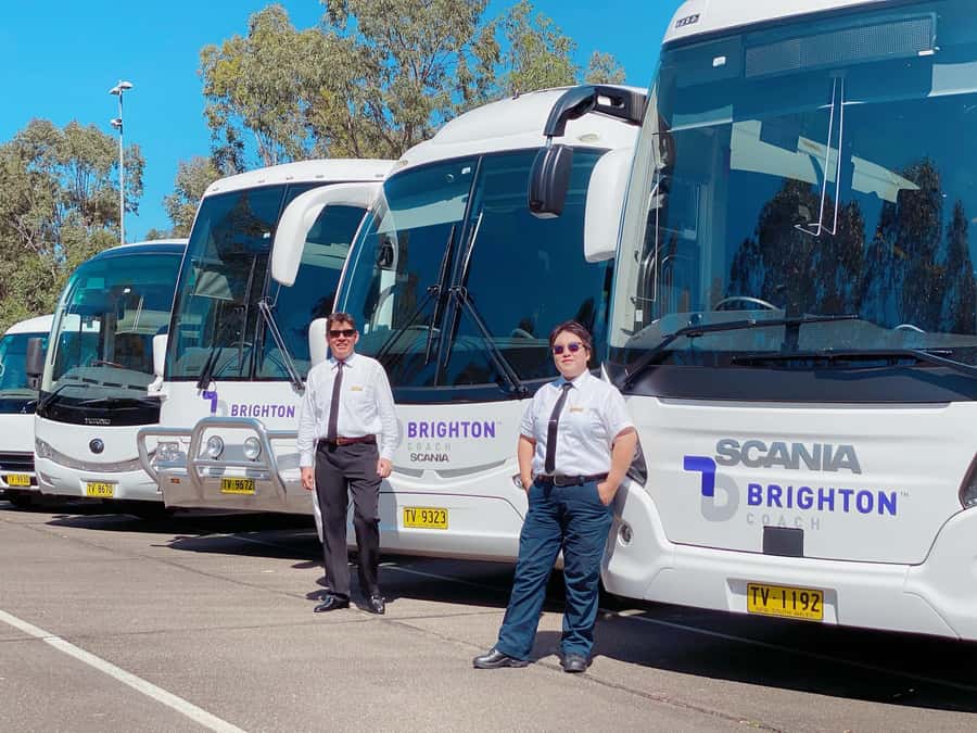 Sydney: Port Stephens Dolphin Cruise & Sandboarding Day Trip - Stockton sand dunes: 4WD ride, sandboarding instruction, and the walk back up