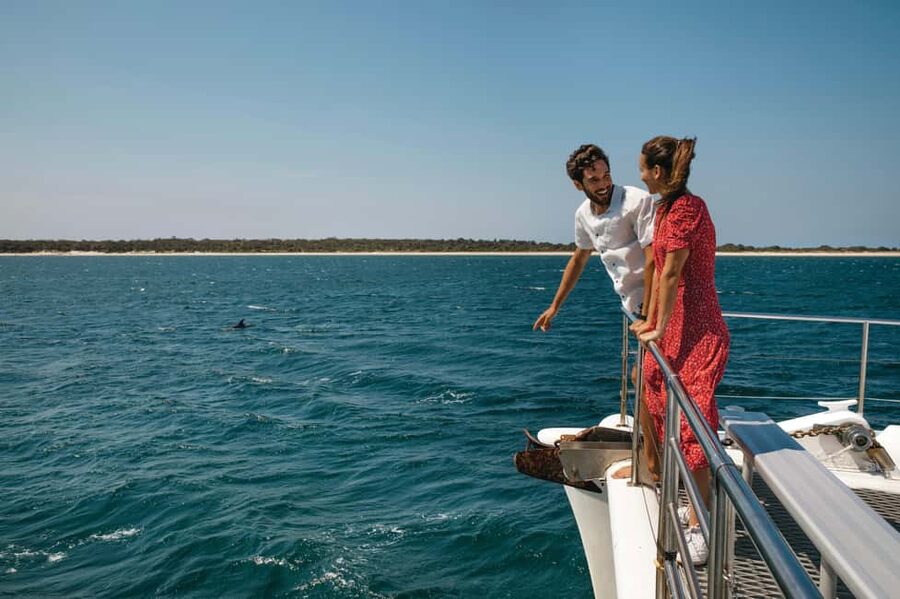 Sydney: Port Stephens Dolphin Watching & Sand Dunes Day Tour - Key things to know before you go