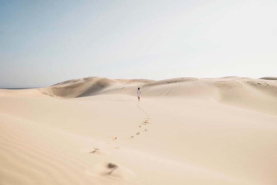 Sydney: Port Stephens Dolphin Watching & Sand Dunes Day Tour - Port Stephens in a day: how the 11-hour rhythm works