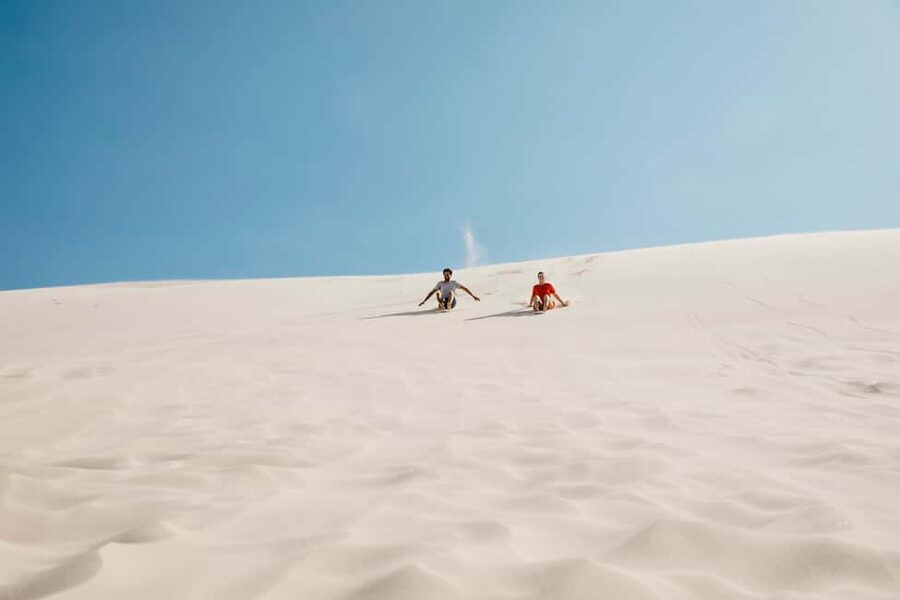 Sydney: Port Stephens Dolphin Watching & Sand Dunes Day Tour - Dolphin watching cruise in Port Stephens: what you’re really doing on the water