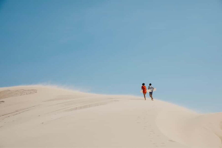Sydney: Port Stephens Dolphin Watching & Sand Dunes Day Tour - Price and value: is $145 worth the long day?
