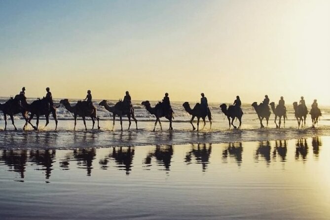Sydney: Port Stephens Sandboarding, Dunes & Dolphin Cruise option - Who this Sydney to Port Stephens tour fits best