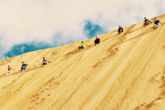 Sydney: Port Stephens Sandboarding, Dunes & Dolphin Cruise option - Anna Bay 4WD sand safari and sandboarding on moving dunes