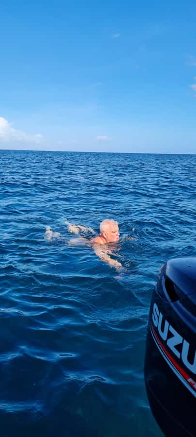Tamarin: Dolphin Snorkel, CrystalRock, ile o Benitiers Lunch - Snorkeling With Dolphins: What You Should Expect in the Water