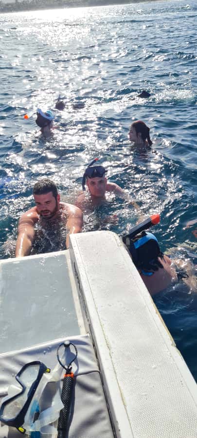 Tamarin: Dolphin Snorkel, CrystalRock, ile o Benitiers Lunch - Crystal Rock Stop: Sea Views and Photo Time With a Purpose