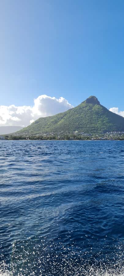 Tamarin: Dolphin Snorkel, CrystalRock, ile o Benitiers Lunch - Crew and Guides: Small Details That Change the Day