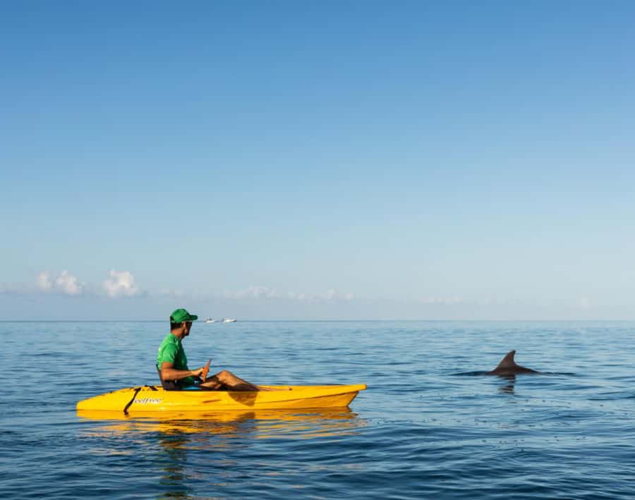 Tamarin: Guided Kayak Tour with Dolphins - Key Highlights You’ll Care About