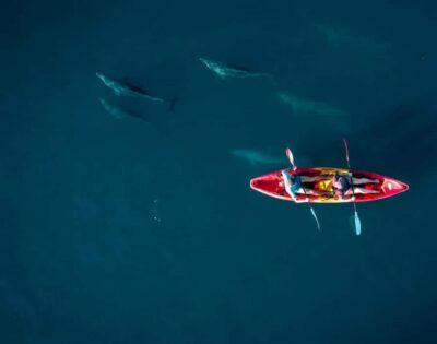 Tamarin: Guided Kayak Tour with Dolphins - Meeting Yanature and Getting Set Up Fast