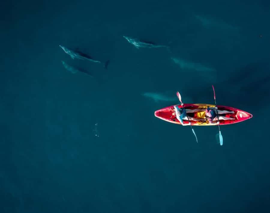 Tamarin: Guided Kayak Tour with Dolphins - Meeting Yanature and Getting Set Up Fast