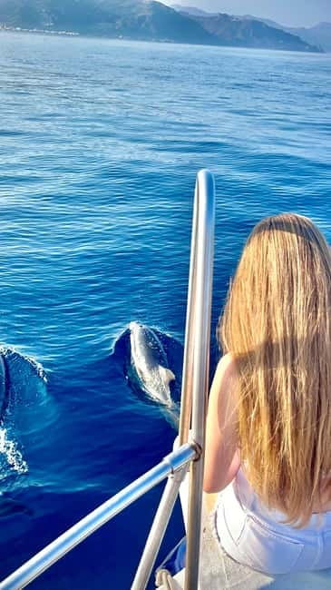Taormina: Dolphin Tour and Sunset Aperitif Boat Tour - Key Reasons This Tour Works