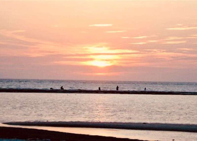 Tarpon Springs: Evening Dolphin Cruise - Who This Cruise Suits Best