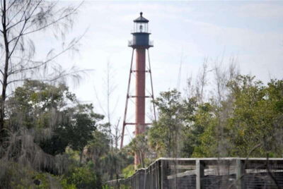 Tarpon Springs: Evening Dolphin Cruise - The 2-Hour Cruise: How the Timing Really Works