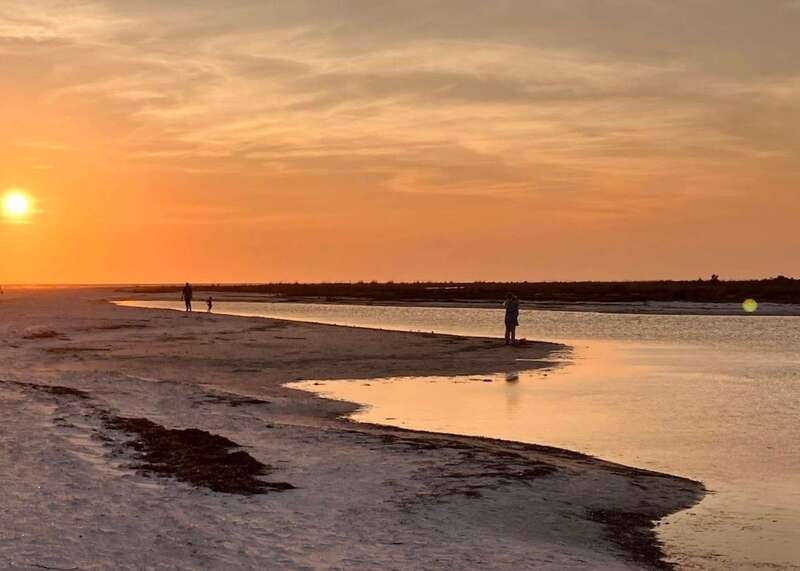 Tarpon Springs: Evening Dolphin Cruise - Anclote Key Stop: Shelling, Swimming, and Beach Time