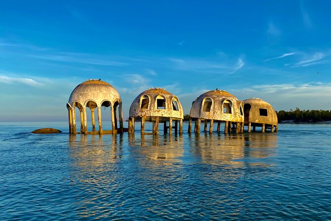 Ten Thousand Islands Eco/Dolphin Tour - Birds and marine life: why the mangroves matter