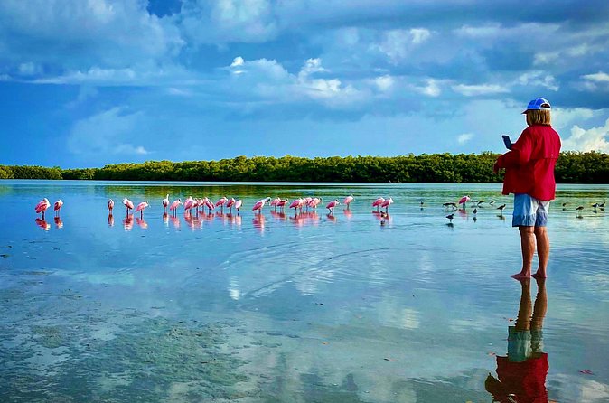 Ten Thousand Islands Eco/Dolphin Tour - What to bring and how to get the most out of your charter