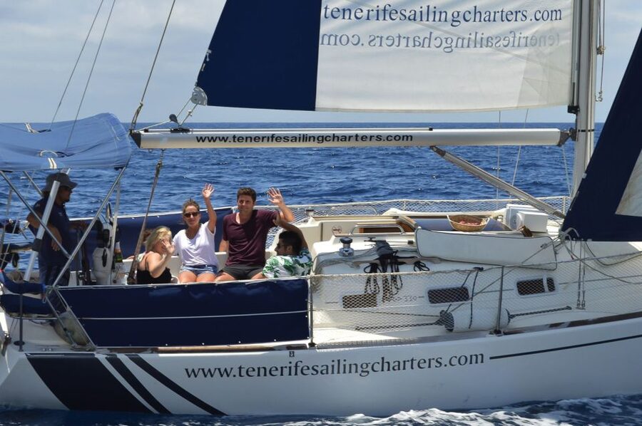 Tenerife: 3 &-6 Hour Private Whale & Dolphin Watching - Price and Value for a Private Group up to 9