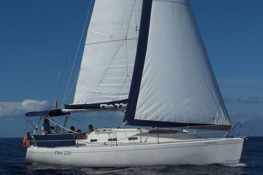 Tenerife: 3 &-6 Hour Private Whale & Dolphin Watching - Booking Tips That Actually Help