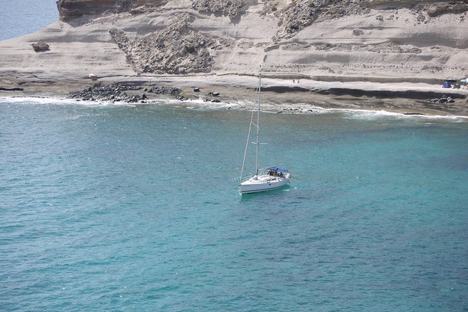 Tenerife 3-Hour Discover Whales and Dolphins - Key things that make this cruise worth your time