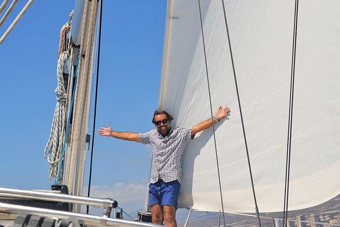 Tenerife 3-Hour Discover Whales and Dolphins - Price and Value: What $70.68 Buys You Here