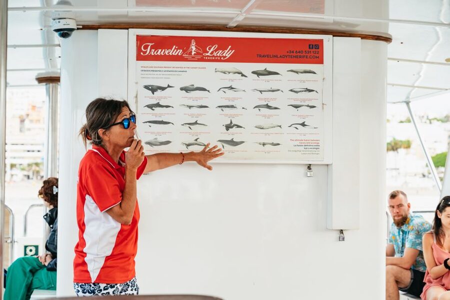 Tenerife: Eco-Yacht Whale and Dolphin Watching and Swimming - What you’ll notice (and learn) from the guide during whale scans