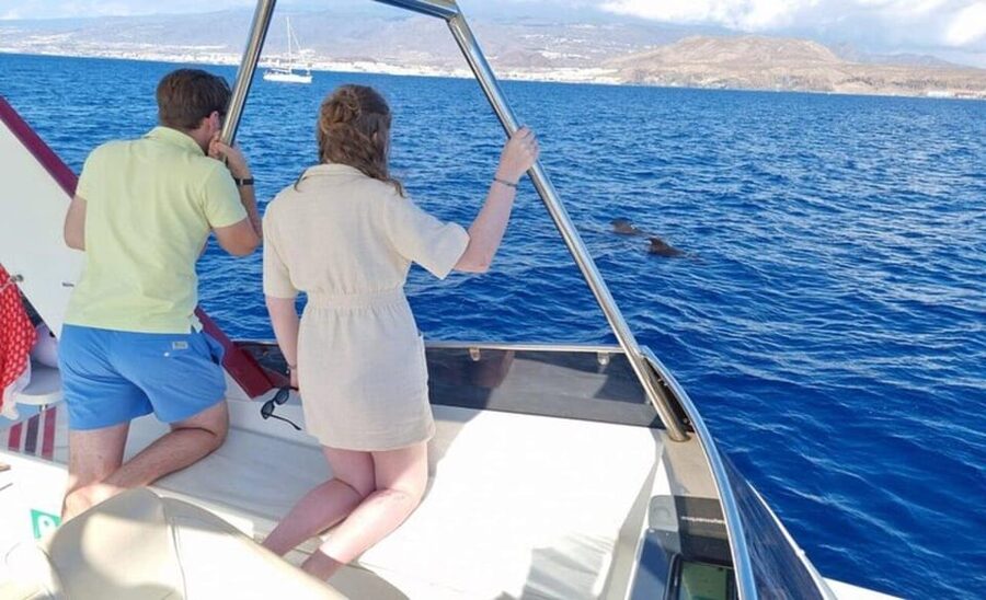 Tenerife: Eco-Yacht Whale and Dolphin Watching and Swimming - Cave of Love: a coastal stop you’ll remember later