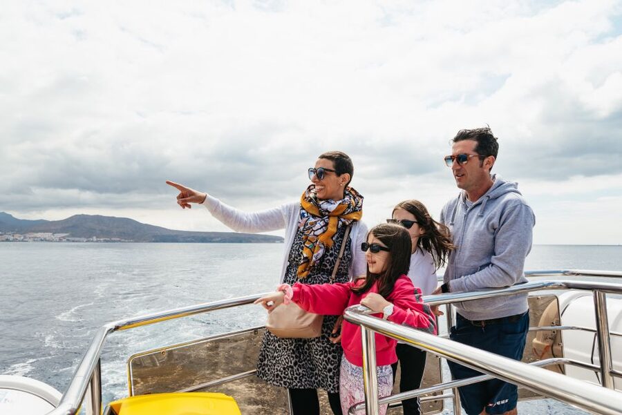 Tenerife: Eco-Yacht Whale and Dolphin Watching and Swimming - The swim and snorkel safety zone: marine life plus real freedom