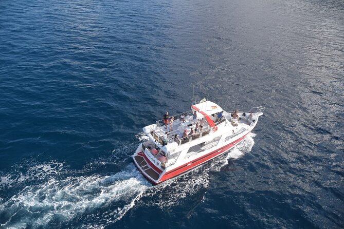 Tenerife Los Cristianos: Whale and Dolphin Eco-Yacht and Swim Stop - Stop 1 and Stop 2: What Los Cristianos and Playa time actually mean